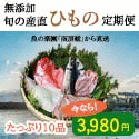 【タウンライフマルシェ】ミニ盆栽セット